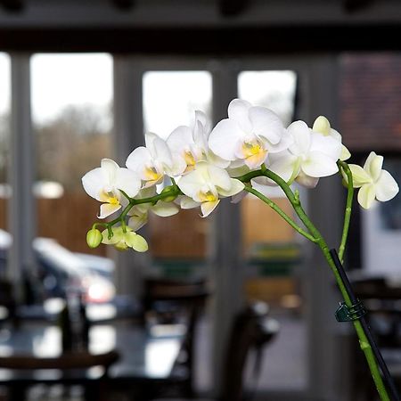 The Maple Manor Hotel Crawley  Bagian luar foto