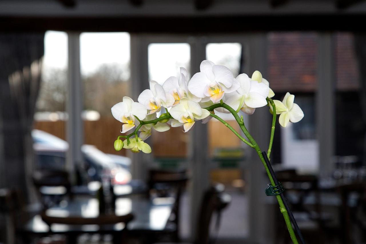 The Maple Manor Hotel Crawley  Bagian luar foto